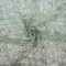 Green-White Nylon Floral Stripe Printed Lace Mesh Knit Fabric By the Yard